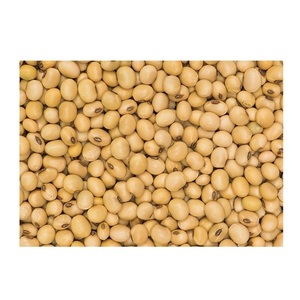 Vente de gros Soja biologique sans OGM Soja jaune Soja Soja - Product Image 2
