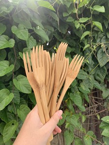 100% High Quality Healthy Bamboo Travel Cutlery Set Can Customized Logo, Packing According to Customer's Need With Cheap Price - Product Image 2