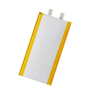 Литий-железо-фосфатный полимерный аккумулятор 3.2В 10Ач (10000мАч) с ультравысоким ресурсом, квадратный, мягкий корпус, модель 1167115, для уличных светильников. - Product Image 4