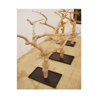 Articles chauds 2025 bois de Java naturel (bois de café) perchoir d'oiseau pour le contact en gros WhatsApp: + 84 937 545 579