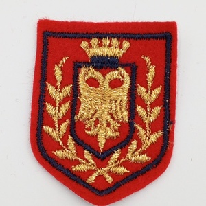 แผ่นปัก3D ผ้ากำมะหยี่สำหรับตกแต่งเสื้อผ้าสไตล์สปอร์ตผ้าทอลายทแยงโลโก้ออกแบบได้ตามต้องการ - Product Image 3