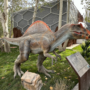 نموذج ديناصور آلي كهربائي واقعي لمدن الملاهي ومراكز التسوق والمناطق العامة والحدائق الرياضية الداخلية والمطارات والمدارس - Product Image 4