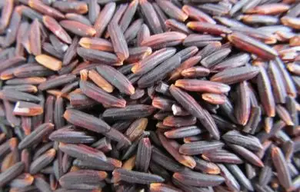 Arroz de sushi de grano corto de alta calidad pulido limpio y listo para exportar - Product Image 5