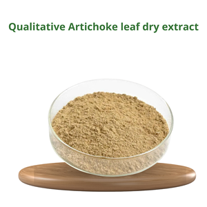 Extracto seco de hoja de alcachofa Naturalin de alta calidad, superventas, polvo marrón salvaje cualitativo en bolsa de papel de aluminio, extracto de planta de gran oferta - Product Image 2