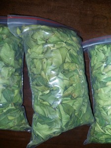 ใบเลมอนแห้งจากเวียดนาม-เครื่องเทศและสมุนไพรชนิดเดียวสำหรับยาชาและเครื่องสำอางกระบวนการดิบผลิตโดยตรง/เวียดนาม - Product Image 2