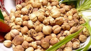 Cardamome blanche biologique indonésienne de haute qualité, agriculture premium, prix compétitifs, fournisseur en gros, commandes en gros, 6 mois - Product Image 4
