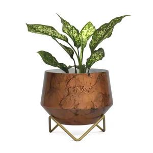 Support pour plantes en métal enduit d'or dernière arrivée Pot de jardinières d'aspect Premium élégant pour la décoration d'hôtel à la maison - Product Image 5