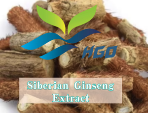 Hgo สารสกัดจากโสมไซบีเรียธรรมชาติ (เกรดอาหาร) 0.8%-1.8% eleutheroside (สารสกัดมาตรฐาน) - Product Image 2