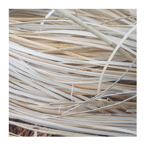 Noyau rond en rotin naturel-Matière première solide, durable et lisse pour la vannerie, les chaises et les exportations artisanales - Product Image 6