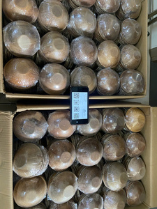 Ensemble de bols et assiettes jetables écologiques en feuille de palmier Vaisselle en feuille d'areca faite à la main pour un mode de vie durable - Product Image 2