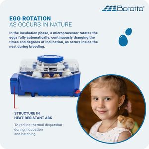 ตู้ฟักไข่ Lumia 8 Expert Dc 12V ควบคุมอุณหภูมิได้ดี ประสิทธิภาพสูง สำหรับไข่สัตว์ปีกขนาดเล็ก ฟักได้ 8 ฟอง ผลิตในอิตาลี - Product Image 4