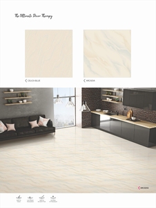 Carreaux de sol en céramique de sel nano soluble beige massif 600x600mm Design moderne de haute qualité par exportateur indien Fonction Firebrick - Product Image 6