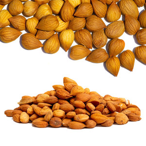 Noyaux d'abricot | Ingrédient de confiance pour les formules de beauté naturelles - Product Image 5