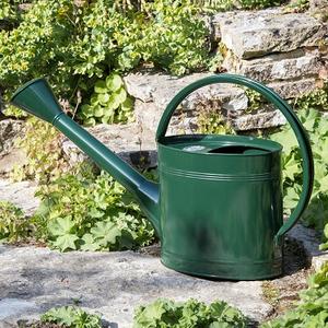 Couleur fleur florale eau peut qualité supérieure vente en gros luxe peut meilleure vente peu coûteux galvanisé eau - Product Image 1