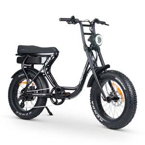 Bicicleta de montaña eléctrica ecológica de 350W con batería de litio, frenos de disco delanteros y traseros de doble suspensión y neumáticos todoterreno - Product Image 6