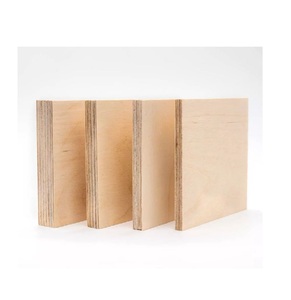 Les panneaux de contreplaqué durables disponibles sont maintenant parfaits pour les applications à usage intensif. Profitez de performances durables dans vos constructions. - Product Image 5