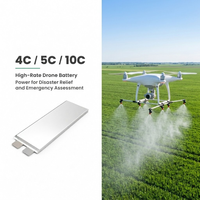 Batterie au lithium polymère semi-solide à décharge élevée 5C 3.7V 72Ah/60Ah/16Ah/25Ah/33Ah/39Ah/47Ah 400Wh/kg pour drone agricole