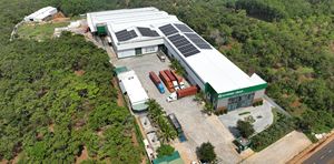 Vietnam Best Seller Noix De Cajou Cassé Noix De Cajou Noyau Cassé Brillant LP SP BB Top BRC Usine Hanfimex + 84915196568 - Product Image 5