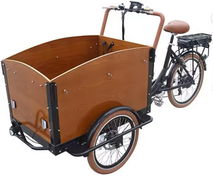 Tricycle cargo - Tricycle électrique hollandais classique avec moteur 500W et écran LCD, idéal pour les courses et le transport, vélo électrique - Product Image 1