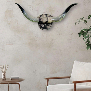 Decoración de Pared de Cuerno de Búfalo Natural, Par de Lámparas de Sal Decorativas Montadas en Cuerno, Venta Caliente por Tradebit - Product Image 4