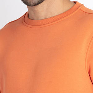 Logo personnalisé 420g polaire ras du cou sweat-shirt pour hommes et femmes automne et hiver polyvalent polaire rembourré haut - Product Image 3