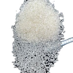 Camolino 2023 récolte riz Basmati blanc à grain moyen séché WA8483545292 modèle long pour une utilisation alimentaire à texture dure - Product Image 1