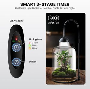 Contenitori in Vetro per Terrario con Luce LED a Timer e Ventilazione, Grande Vaso per Piante Succulente e Muschio, 8,27" H, Mini Giardino - Product Image 3