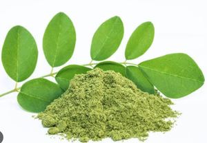 ผงใบมะรุมโอเลฟิร่าออร์แกนิกคุณภาพสูงใช้สำหรับดูแลผิวผู้ส่งออกและผู้ผลิตจากอินเดียใต้ - Product Image 2