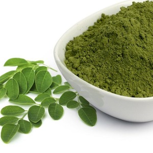 Mejor venta planta Moringa oleifera hoja en polvo con excelente calidad y precio competitivo de Vietnam - Product Image 1