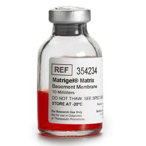 Corning Matrigel Basement Membrane Matrix 50mL (5x10mL) Tamaño LDEV-Free Suministros de laboratorio - Product Image 2