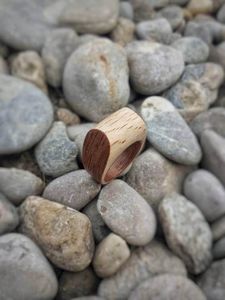 แหวนไม้เปิดดูสง่างามทันสมัยสำหรับผู้หญิงแหวนสเตอร์ลิงทันสมัยมีเสน่ห์ไฮเอนด์ดีไซน์ขนาดเล็กไม่ซ้ำใคร - Product Image 2