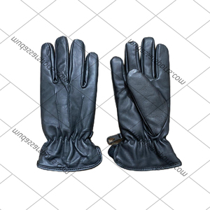 Mudassar Gants d'habillage de luxe pour le sport Gants d'habillage imperméables en cuir pour femmes - Product Image 1