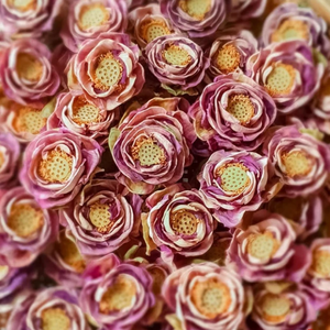 Vente en gros d'herbes de fleurs de lotus séchées du Vietnam de lotus bleu tisane naturelle Relax sommeil équilibre santé - Product Image 4