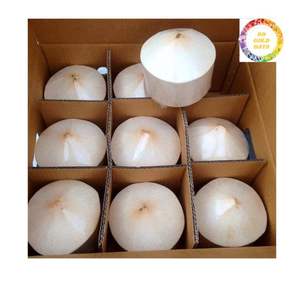 Jeune noix de coco tropicale du Vietnam-Saveur sucrée de qualité supérieure - Product Image 4