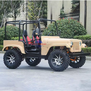 Fabriqué en Chine, véhicule tout-terrain 4x4 pour adultes M H-Hy-brid, 2 places, avec couleur personnalisée - Product Image 1