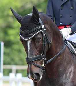 Premium Lightweight Crochet Horse Ear <b>Bonnet</b> Breathable Fly Veil Elegant Style for Training and Show Horses Ear <b>Bonnet</b> - Product Image 6