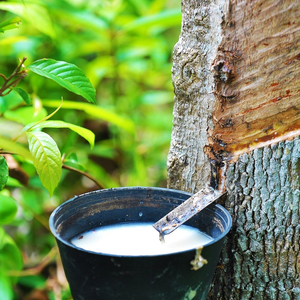 LATEX DE CAOUTCHOUC NATUREL/FORT ET ÉLASTIQUE/FABRIQUÉ AU VIETNAM - Product Image 5