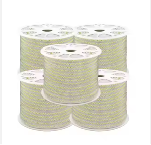 Listo para enviar 100M TLC Vietnam Decoración al aire libre Flex LED Strip Light 5730 con botón manual de plástico Clasificación IP20 - Product Image 1