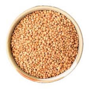 Lentejas Verdes y Rojas de Alta Calidad, Alimento Seco, Empacado a Granel de 25 kg, 2 Años de Vida Útil para Mercados Internacionales - Product Image 4