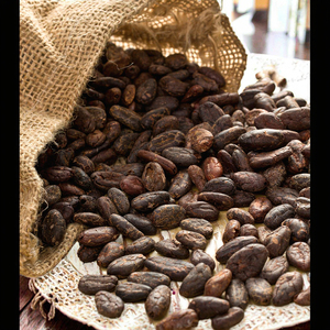Grains de café Robusta en vrac lavés et non lavés, norme d'exportation - Product Image 4
