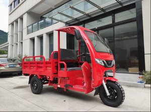 Tricycle à trois roues de fret lourd de 250 cm3 noir - Product Image 5