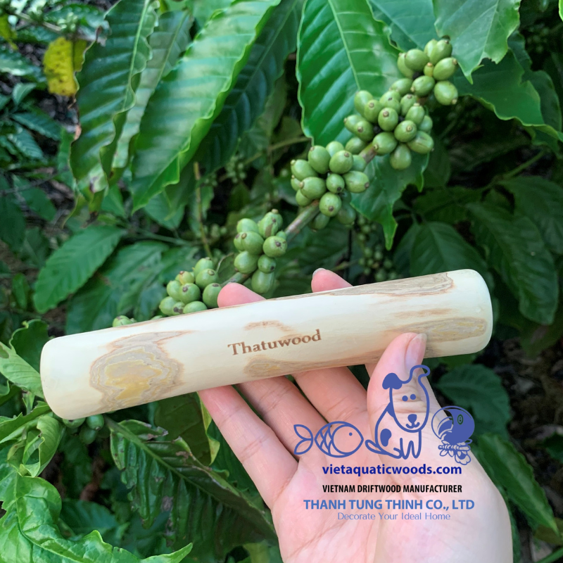 ธรรมชาติ