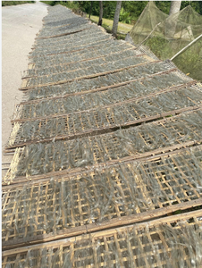 มีจำหน่าย: วุ้นเส้นแบบแห้ง4มม. และ5มม. สำหรับประกอบอาหาร - Product Image 4