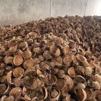 Coquilles de noix de coco de qualité supérieure pour l'exportation utilisées dans le charbon de bois de Shisha et l'artisanat de décoration intérieure