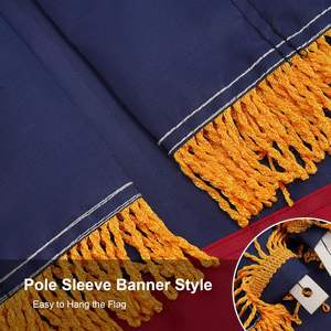 Bandera de Texas de Lujo de 3x5 Pies con Flecos Dorados, Poliéster Resistente, Estrellas Bordadas, Funda para Asta - Product Image 3