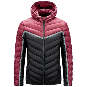 Veste d'hiver personnalisée pour hommes Veste bouffante décontractée à manches longues avec fermeture à glissière solide de haute qualité imperméable et respirante à séchage rapide - Product Image 2