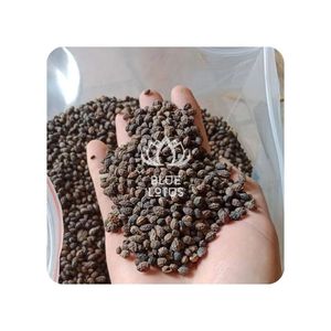 ราคาดีที่สุด เมล็ดมะละกอแห้งบริสุทธิ์ บลูโลตัส 2025 บำรุงสุขภาพ ดีท็อกซ์ สมุนไพร ช่วยระบบย่อยอาหาร เสริมภูมิคุ้มกัน กำลังธรรมชาติ - Product Image 1