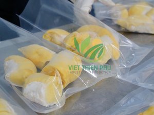 Venta caliente Durian congelado de Vietnam Hecho por VIET THIEN PHU-Embalaje a granel Durian congelado premium-Durian congelado de alta calidad - Product Image 5