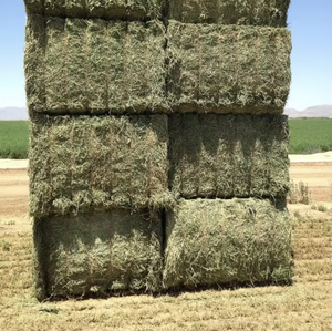 Pellets de heno Timothy de alta calidad a un precio económico, pacas de heno de alfalfa secas para alimentación animal - Product Image 3