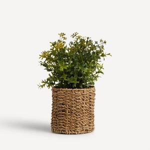 Cesta de almacenamiento para decoración del hogar, nuevo diseño al por mayor, algas marinas con marco de metal natural, cesta para macetas de Vietnam - Product Image 1